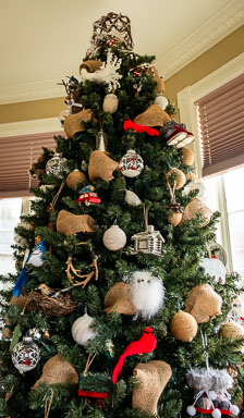 Christmas 2023 Christmas 2023